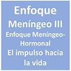 Curso enfoque meningeo III