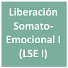 curso liberacion somato-emocional I